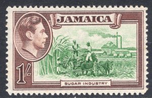 JAMAICA SCOTT 125