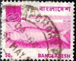 Fish, Hilsa, Bangladesh stamp SC#99 used