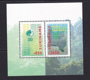 Surinam  #1192-1193a  MNH  1999  Sheet  conservation