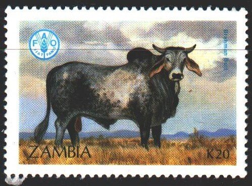 Zambia. 1987. 432 from the series. Cow, fauna. MVLH.