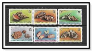 Turks & Caicos #434-439 Sea Shells MNH