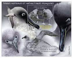 2023 FSAT Dark-backed Sooty Albatross SS (Scott NA) MNH