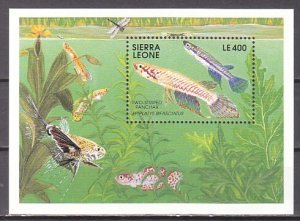 Sierra Leone, Scott cat. 1364. Various Fish s/sheet. ^