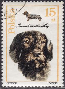 Poland 2900 Dogs Wired-Haired Dachshund 1989