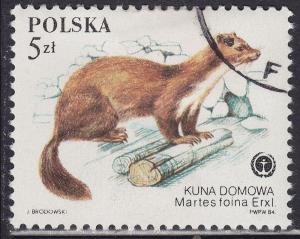 Poland 2651 Protected Animals, Martes Foina 5.00zł 1984