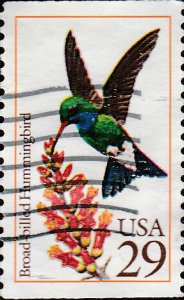 # 2643 USED BROAD BILLED HUMMINGBIRD