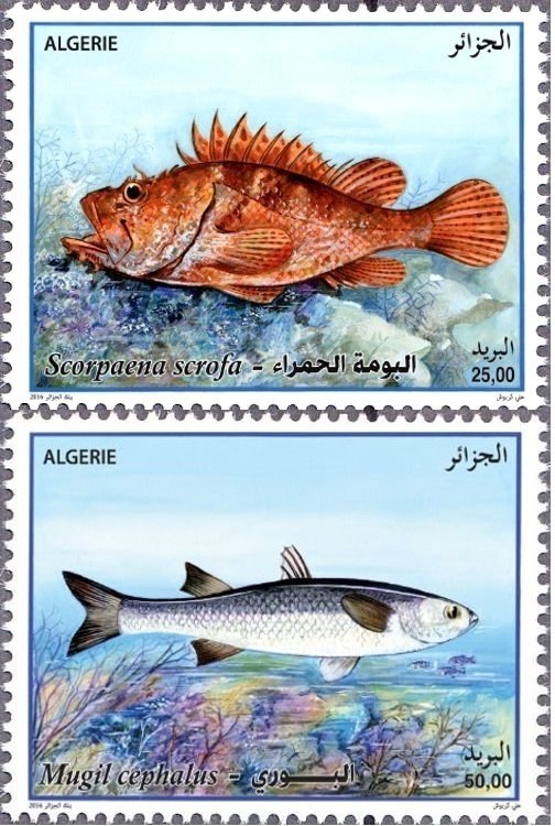 Algeria 2016 MNH Stamps Fish