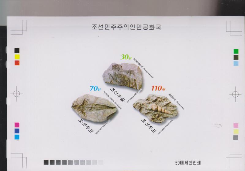 E)2013 KOREA, FOSSILS, GEOLOGY, DITOMOPHARANGIA, DUMANGIA, HORMOTOMA, IMPERFORAT