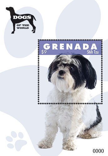 Grenada 2012 - Dogs of the World, Shih Tzu, Animal, Pet - Souvenir Sheet - MNH