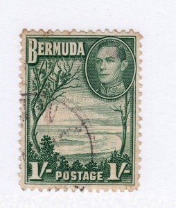 Bermuda       122       used