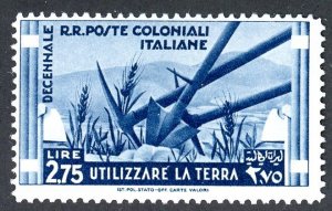 Italian Colonies, Scott #38, Unused, Hinged