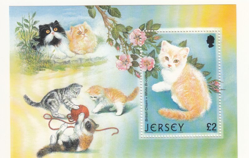 Jersey 2002 Cats M/Sheet -  NHM