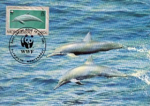 Montserrat 1990 Maxicard Sc #753 90c Spinner dolphin WWF