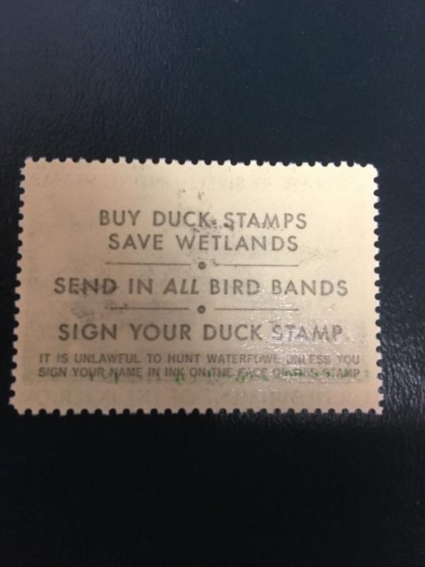 US RW43 Federal Duck Stamp - mint never hinged - very nice 1976 stamp