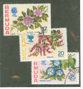 Bermuda #322-4 Used