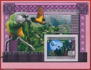 FRENCH GUINEA - ERROR, 2009 IMPERF SHEET: BIRDS, PARROTS, Animals