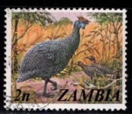 Zambia - #136 Guinea Fowl - Used