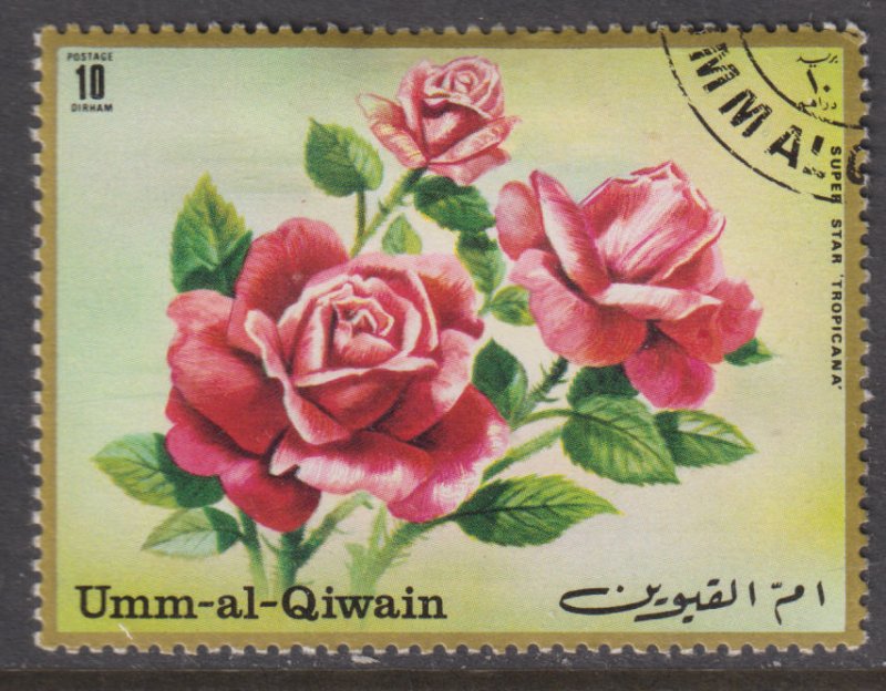 UAE Umm Al Qiwain Unlisted Super Star Tropicana Rose 1971