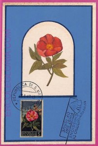 ag3477 - SAN MARINO - POSTAL HISTORY - Maximum Card - 1967 - Flowers-