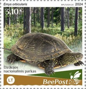 BEEPOST LITHUANIA - 2024 - Turtles - Perf Single Stamp - MNH - Private Issue