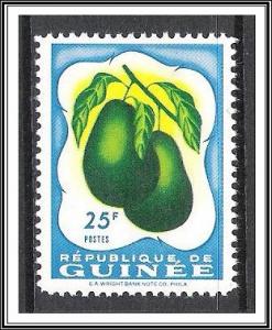 Guinea #178 Fruit MH