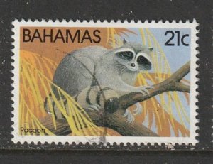 1982 Bahamas - Sc 516 - used VF - 1 single - Racoon