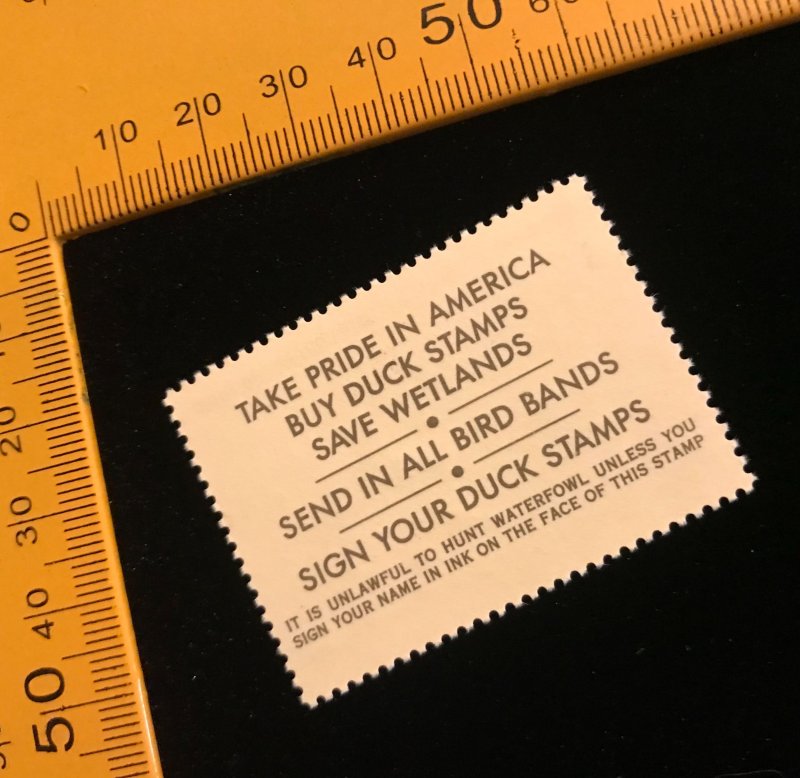 RW55 MNH, US Federal Duck Hunting Stamp