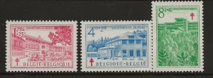 Belgium B489-491 Set Mint Never Hinged.