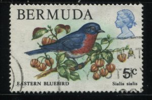 Bermuda 365 USED