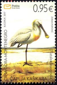 MONTENEGRO / 2017, Fauna Spoonbill, MNH