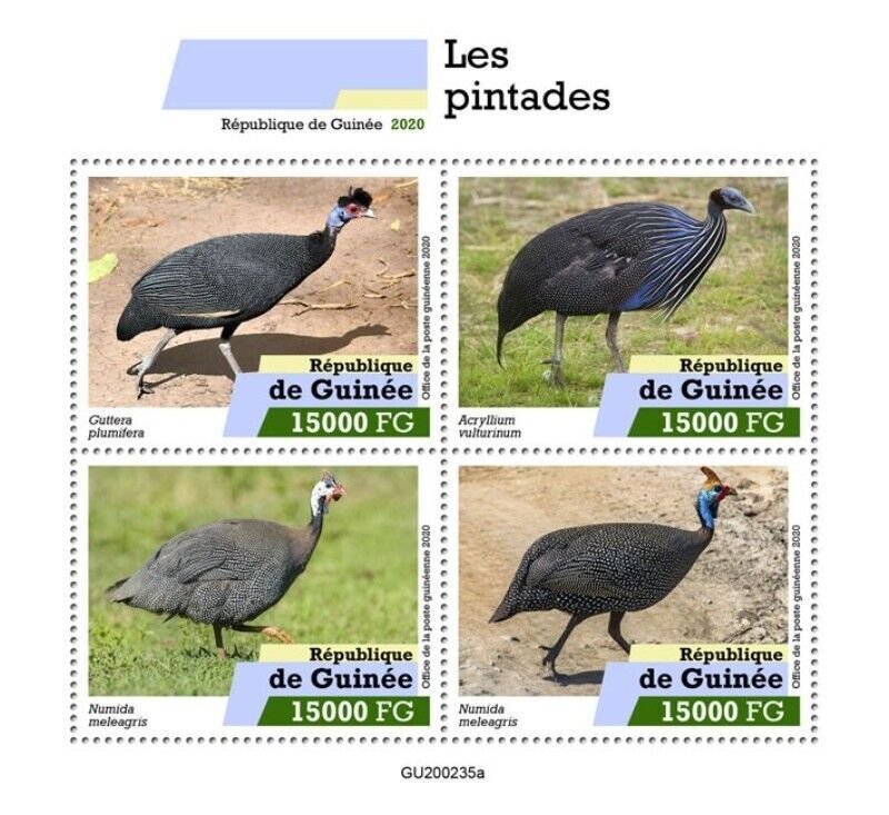 Guinea - 2020 Guineafowl Birds on Stamps - 4 Stamp Sheet - GU200235a