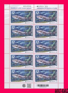 MOLDOVA 2024 Europa CEPT Underwater Fauna River Fish Sturgeon Huso Beluga ms MNH