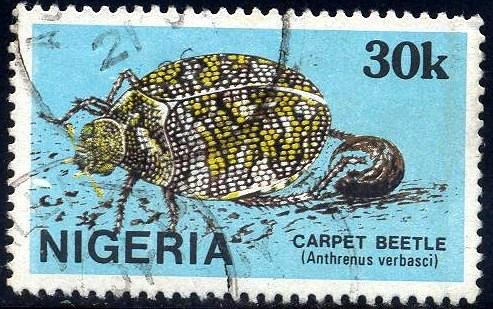 Insect, Carpet Beetle, Nigeria stamp SC#506 used