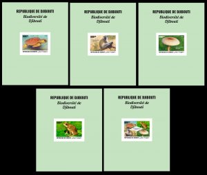 DJIBOUTI 2025 5X DELUXE PROOF BIODIVERSITY OF DJIBOUTI - TURTLE TURTLES REPTILES-