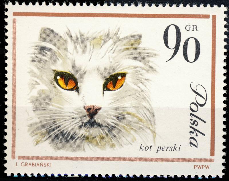 POLOGNE / POLAND / POLEN 1964 Cats Issue Mi.1479 90Gr MINT**