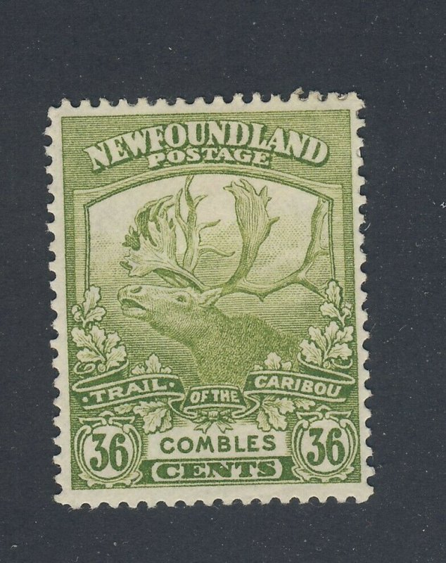 Newfoundland Caribou Mint Stamp #126-36c MH Small Paper on Back VF Value= $37.50