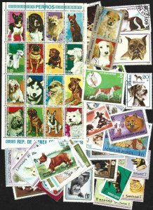 Collection of 50 Different Stamps - Dogs