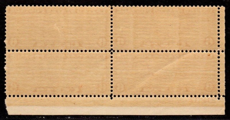 C19  U.S. Airmail  Plate Block Mint, o.g., never hinged 