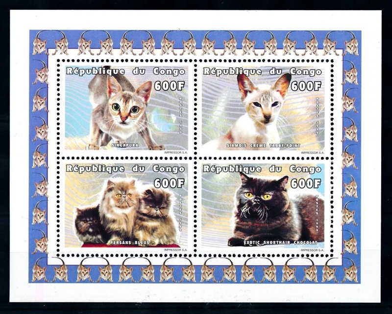 [75727] Congo Brazzaville 1999 Pets cats Persian Siamese Souvenir sheet MNH