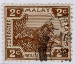 MALAYSIA - Federated Malay GV SG54, 2c brown, FINE USED. Cat £16.