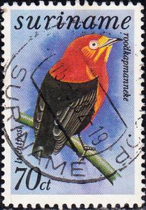 Suriname #C67 Used