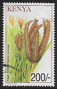 Kenya # 764 - Finger Millet - used     [KlBlw]