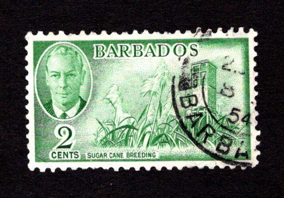 BARBADOS  SC# 217  VF/U