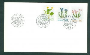 Norway. 1973 FDC.  Flowers II . Sc# 626-627-628.