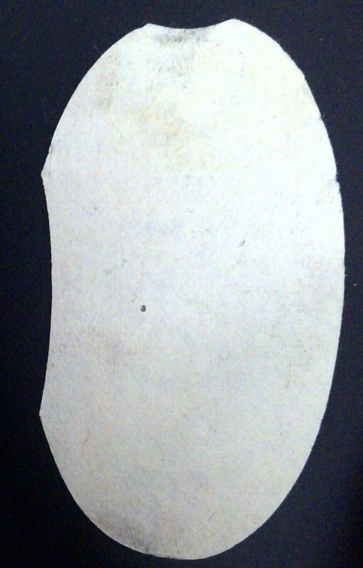 Scott #RS269d - 4c Lake, die cut - Wmk 191R - Edward Wilder - Die Cut EFO