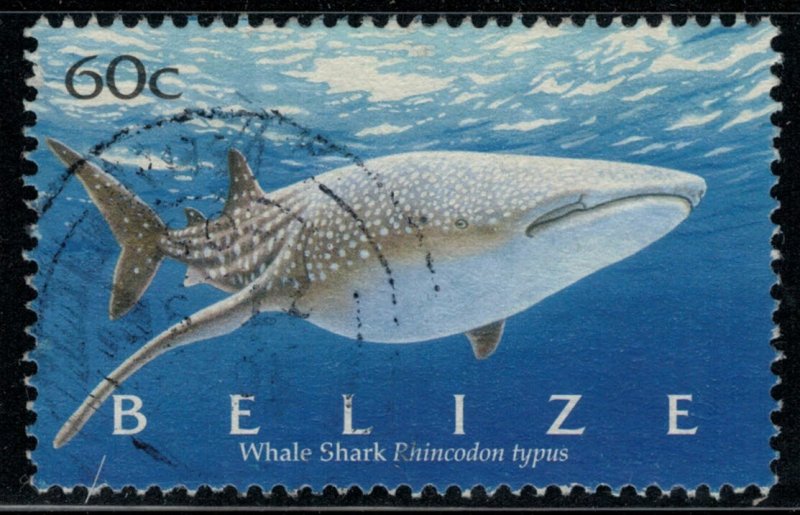 Belize #1174  CV $3.00  Whale shark