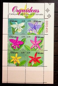 SALVADOR Sc 1517 NH MINISHEET OF 1999 - FLOWERS - ORCHIDS