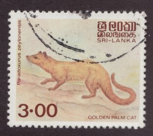 1982 Sri Lanka - Sc #729 GOLDEN PALM CAT - Used Postage Stamp