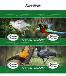 Sierra Leone - 2019 Rare Birds - 4 Stamp Sheet - SRL190110a