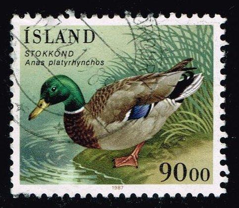 Iceland #645 Mallard Duck; Used at Wholesale